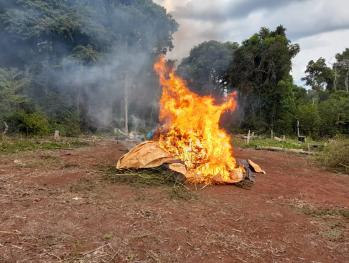 Alto Paraná: SENAD intervino base de acopio narco